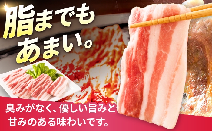 豚肉 バラ 豚バラ 2kg