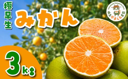 【先行予約】 【2026年10月順次発送】 極早生みかん 3kg  みかん  温州みかん 極早生 早生 完熟 柑橘 果物 フルーツ 国産 新鮮 お中元 甘い 農家直送 【北海道、東北、離島、沖縄配送不可】