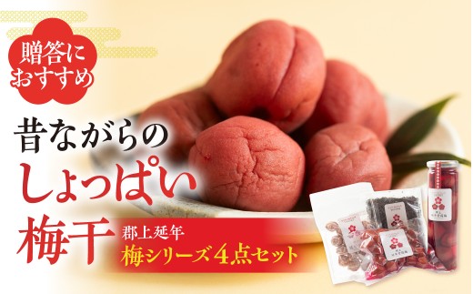《しょっぱい梅干し 4点セット》 梅干し ふりかけ しそふりかけ 干し梅 郡上延年梅 暑さ対策 塩分補給 漬物 梅干し しそ梅 紫蘇梅 プラムナチュール 10000円