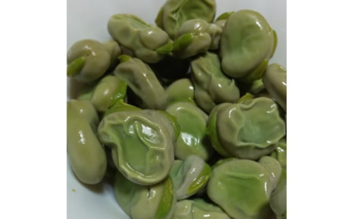 【  え？関東圏限定　当日出荷当日到着　なの？】”みずみずしい”プレミアム そら豆（約2000g）from 名水の里 神奈川県秦野市　　人数目安：２～４名　　　　そら豆 そらまめ ソラマメ 野菜 農作物 産地直送 農家直送　おつまみ　おやつ　ゴールデンウィーク　大谷　小谷　　012-28-1