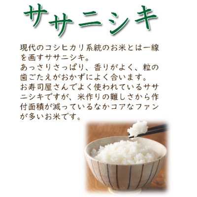 令和5年産　宮城県登米市産　食べ比べセット10kg(ひとめぼれ・ササニシキ 精米 各5kg)【1261130】