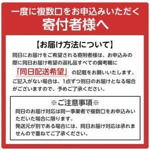 亀岡牛 赤身ステーキ120g×5枚 訳ありステーキ