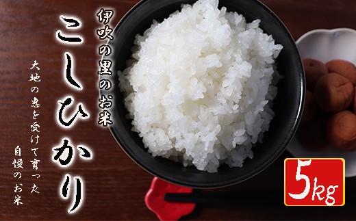 
                  ≪令和6年産≫ ほたるの集う田んぼの米 こしひかり 約5kg
                