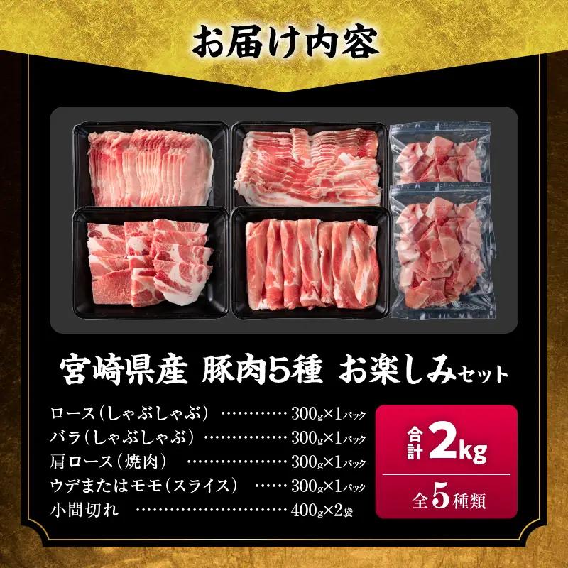 数量限定 豚肉 5種 お楽しみ セット 合計2kg_CA69-25
