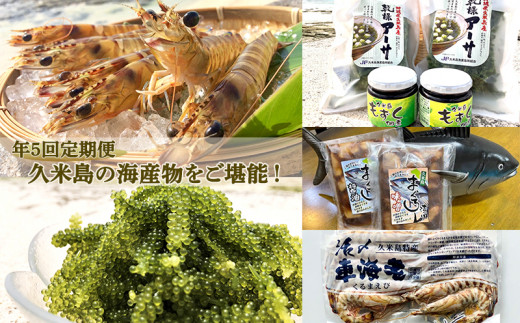
【定期便】久米島の海産物をご堪能！！ 年5回コース
