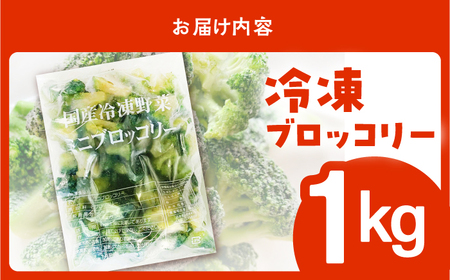 たっぷり 冷凍 ブロッコリー 1kg / ブロッコリー ぶろっこりー 野菜 やさい 小分け 冷凍 / 南島原市 / 池田海陸物産[SEW006]