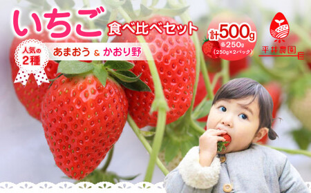 人気の2種いちご食べ比べセット「あまおう 250g」＋「かおり野 250g」合計500g｜2025年12月～順次発送＜ひらい観光農園＞ いちご イチゴ 苺 旬 期間限定 数量限定 デザート フルーツ 食べ比べ 福岡県 八女市065-010