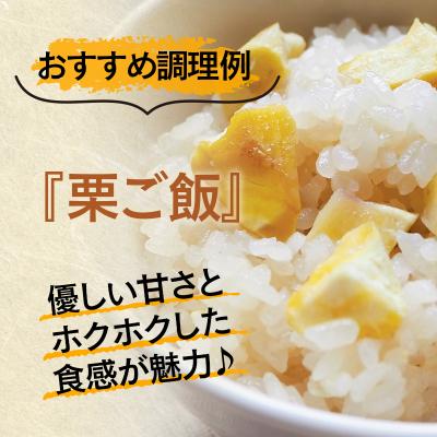 ふるさと納税 西都市 【訳あり】宮崎県西都市産　低温熟成生栗(むき栗)500g【先行受付】 [3112] |  | 01