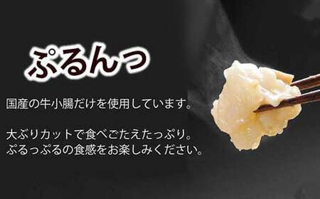 もつ鍋セット 牛もつたっぷり600g！大容量5-6人前(あごだし醤油味) 博多もつ鍋やまや  【2025年12月発送】