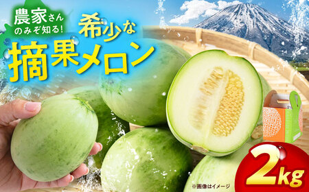 【2026年6月下旬以降順次発送】 摘果メロン 2kg メロン 野菜 先行予約 北海道 [AJAM012]
