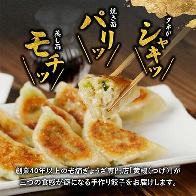 ふるさと納税 延岡市 「ぎょうざの店　黄楊」の手作り餃子　60個　 |  | 01