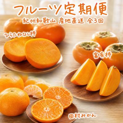 ふるさと納税 北山村 【発送月固定定期便】秋の味覚 果物定期便 柿・みかん　旬のフルーツを毎月お届け【tkb130】全3回