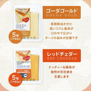4種類のスライスチーズセット 1パック5枚入×4パック×４種類（計80枚）  【乳製品 加工食品 おつまみ セット 食べ比べ モッツァレラ チェダー 愛知県 長久手市】