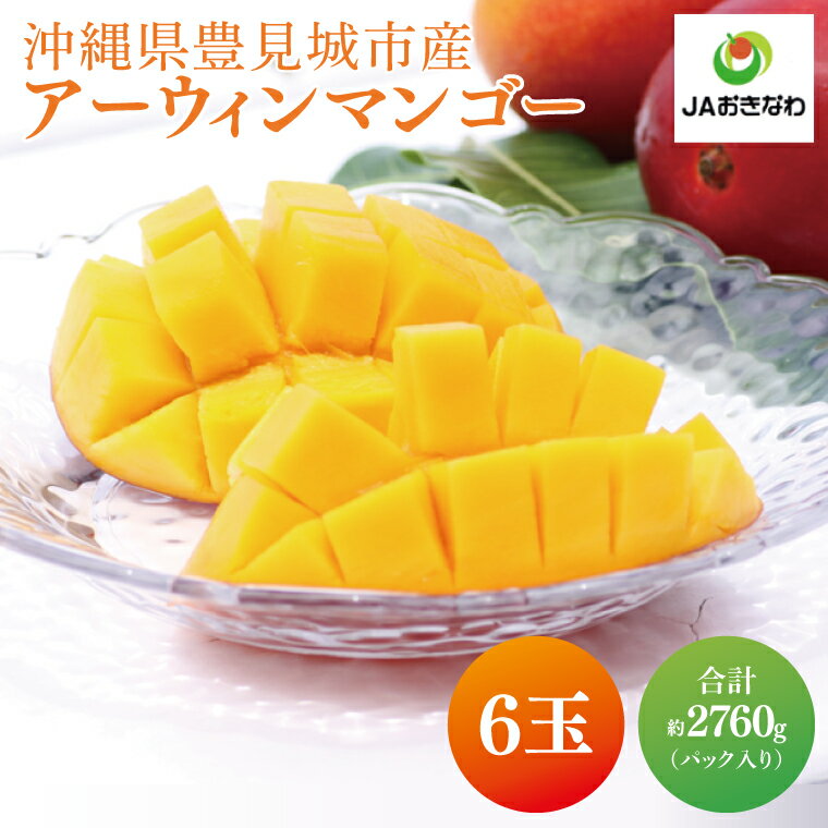 【ふるさと納税】≪ アーウィンマンゴー 6玉(パック) ≫ 数量限定 ※2025年6月より順次発送します。 沖縄県産 豊見城市 大容量 マンゴー アップルマンゴー アーウィン フルーツ 完熟 JA 果物 くだもの おきなわ 先行予約 ギフト 贈答 贈り物 プレゼント 送料無料