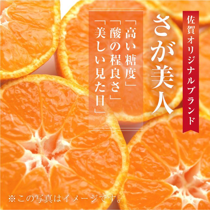 【11月上旬頃〜1月上旬発送】甘くてキレイな色合い！佐賀県産「さが美人」4.5kg 吉野ヶ里町/リエンサーク [FCC011]