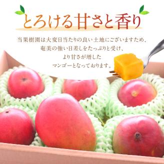 それいゆマンゴー 2kg　A006-015
