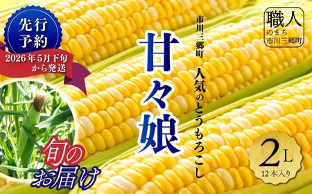 甘々娘　２Lサイズ　12本入り　【2026年5月下旬から発送】　渡邉農園[5839-1997]