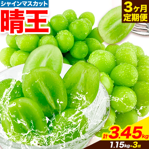 ぶどう 3ヶ月 定期便 [2025年先行予約] シャインマスカット 晴王 約1.15kg 岡山県産《9月上旬-1１月末頃出荷(土日祝除く)》 ハレノフルーツ マスカット 送料無料 岡山県 浅口市 フルーツ 果物 贈り物 ギフト 国産 岡山県産 くだもの【配送不可地域あり】