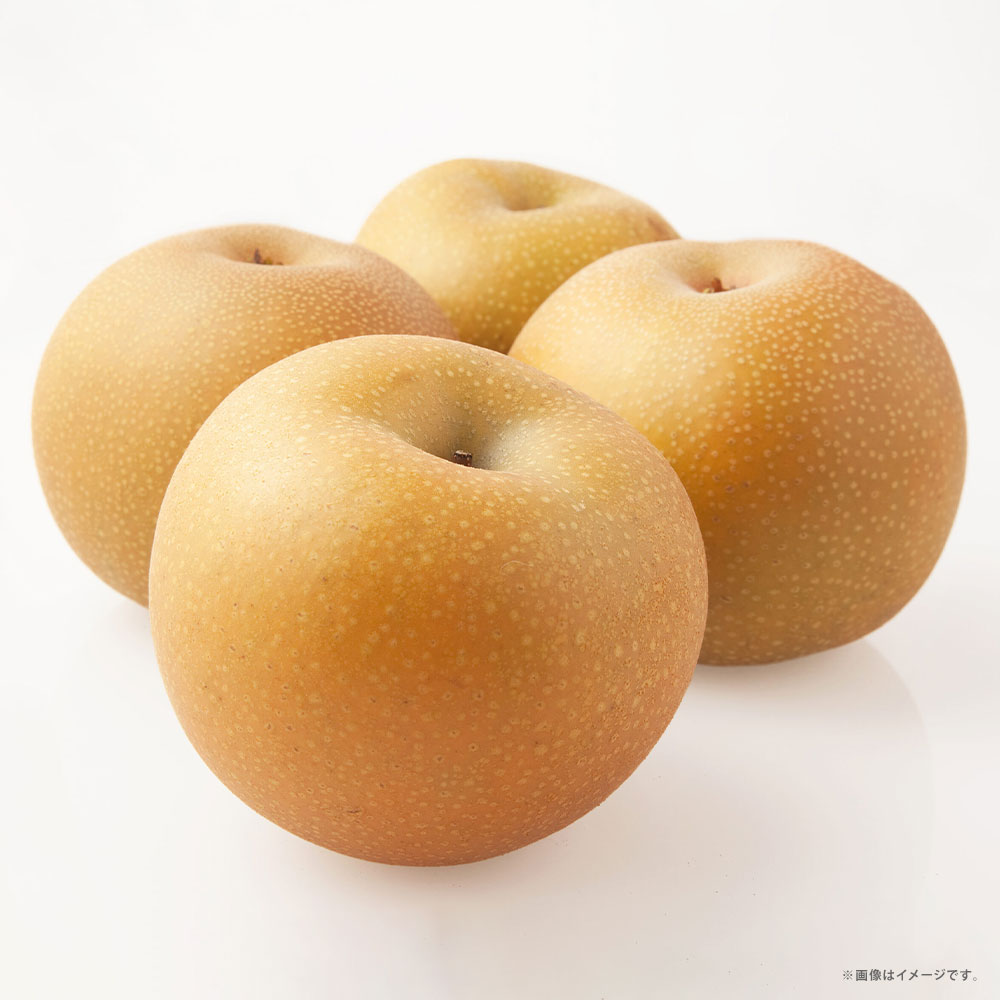 【ふるさと納税】秋月梨 約3kg（4～12玉） なし ナシ あきづきなし フルーツ くだもの 旬 お取り寄せ 果物 冷蔵 熊本県 熊本市 【2026年9月上旬～下旬発送予定】