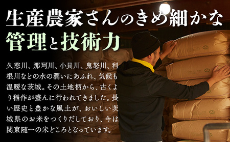 米 茨城 ふるさと米 無洗米 20kg 5kg×4袋 2回お届け 定期便《お申し込み月の翌月から出荷開始》茨城県 結城市 米 国産 お米 おこめ お弁当 おにぎり【茨城県共通返礼品】