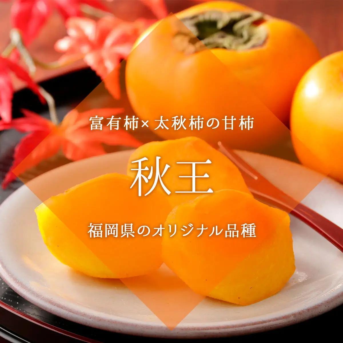 【先行予約】福岡産(柿)秋王(あきおう)約1.5kg箱(4-6玉)(篠栗町)【NF007】