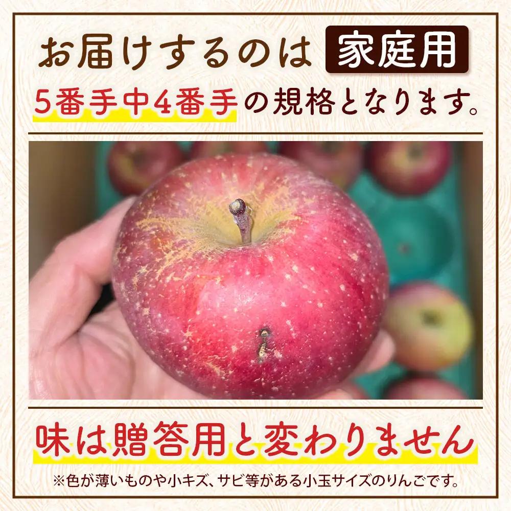 りんご サンふじ 家庭用 約5kg 小玉 11月発送 りんご