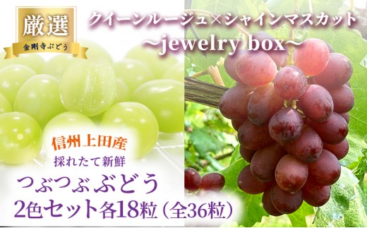 
                  厳選！クイーンルージュ(R)×シャインマスカット jewelry box 信州上田産 金剛寺ぶどう 36粒 つぶつぶぶどう 2色 セット 詰め合わせ ぶどう マスカット フルーツ 旬の果物 長野
                