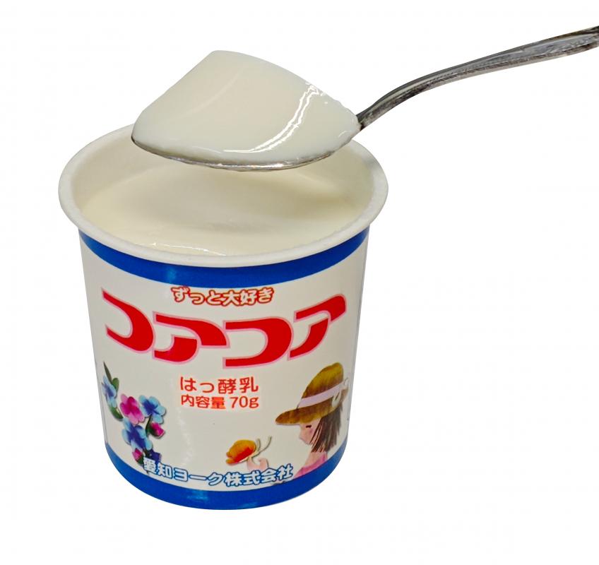 愛知ヨーク　コアコアヨーグルト＆国産ゼリーセット　16個入　ヨーグルト ゼリー デザート 国産果汁 詰め合わせ 健康 給食 保育園 幼稚園 小学校 中学校 支援学校 病院 高齢者施設