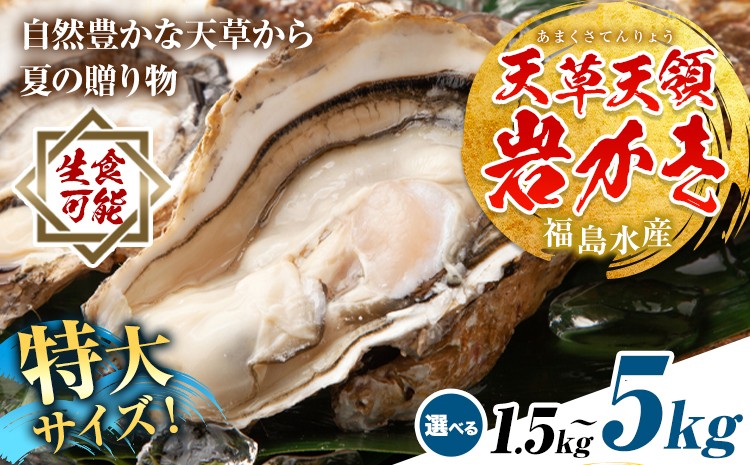 
            天領岩牡蠣 約1.5kg 約2.5kg 約5kg 選べる 福島水産《30日以内に出荷予定(土日祝除く)》熊本県 苓北町 牡蠣 かき カキ 岩カキ 岩ガキ 貝 BIG ビッグ 生食 バーベキュー 夏天草 天領 苓北 熊本 旬 シーズン 送料無料【配送不可地域あり】
          