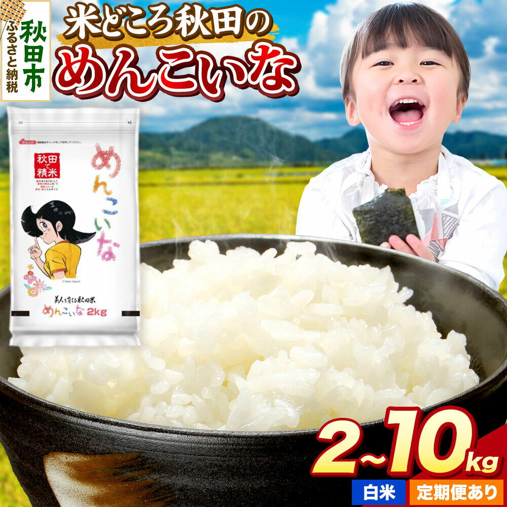 【ふるさと納税】米 めんこいな【選べる 容量（2kg〜10kg）×お届け回数】米どころ秋田県産 令和7年産 精米 2kg袋 小分け [米 お米 こめ 白米 精米 ブランド米 小分け ご飯 ごはん 米どころ 秋田県産 2kg袋]