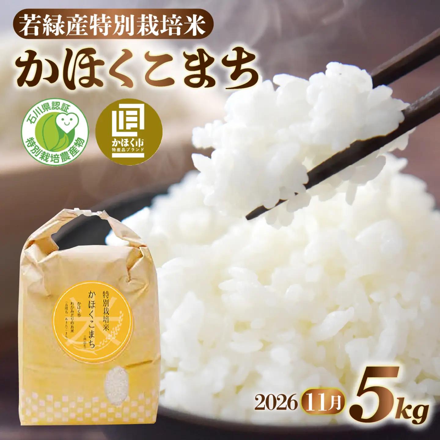 【令和8年産】 かほくこまち 5kg 【2026年11月配送】 | お米 米 かほくこまち