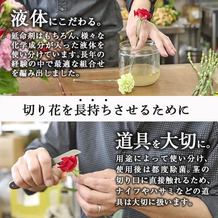 ＜定期便・12回(連続)＞季節のお楽しみフラワーアレンジメント(生花：Sサイズ)花束  贈り物 インテリア【FM-8】【フラワーショップまつだ】