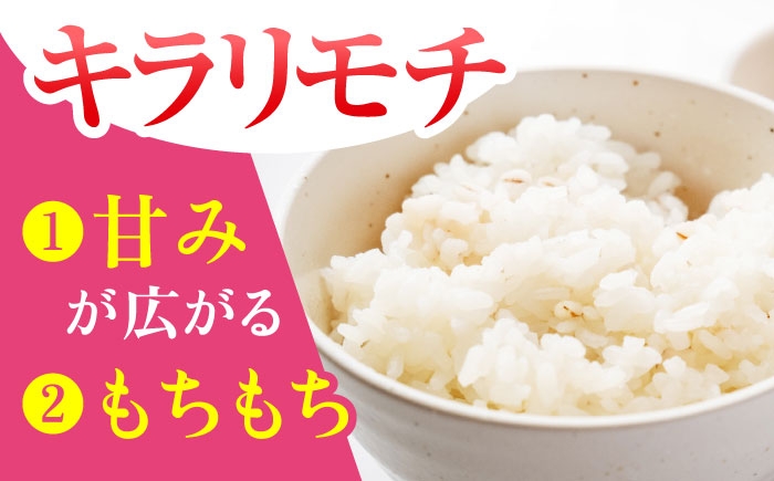 白米・もち麦セット（さがびより3kg・キラリモチ 300g）[HBL093] / 精米 米 お米 こめ 雑穀 ブランド米 国産