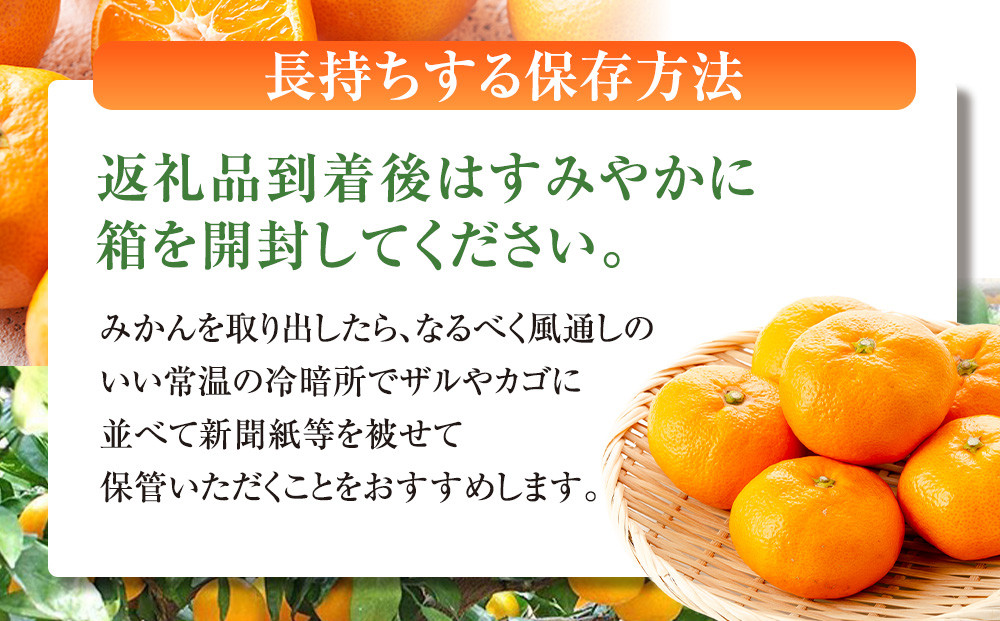 有田みかん専門店 有田の太陽Rファミリー 早生または晩生 有田みかん 9.5kg＋補償分100g 山採れ・サイズ・等級 混合