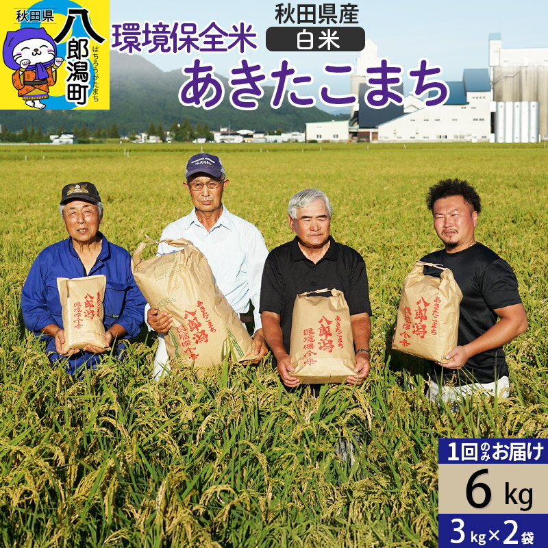【ふるさと納税】【白米】令和7年産 秋田県産 あきたこまち 環境保全米 6kg (3kg×2袋)