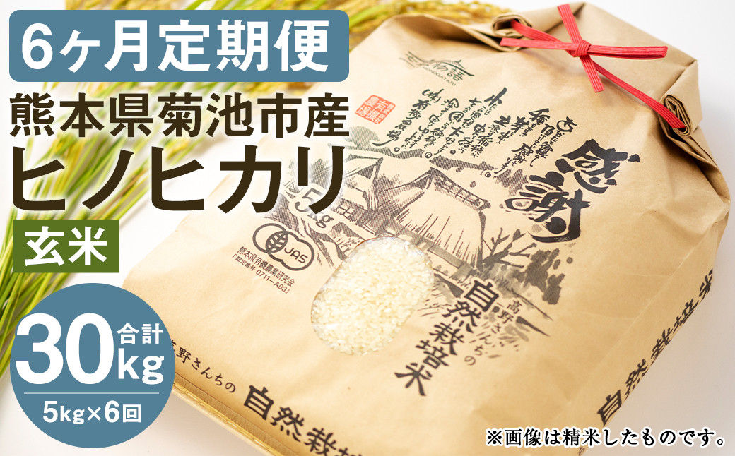 
【定期便6ヶ月】七城物語 高野さんちの 自然栽培米 （玄米） 5kg （2.5kg×2パック） 合計30kg お米 米 玄米 ヒノヒカリ
