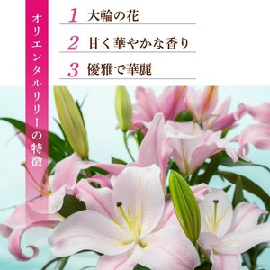  ユリ(オリエンタルリリー)3本 10ヶ月定期便【ユリ】