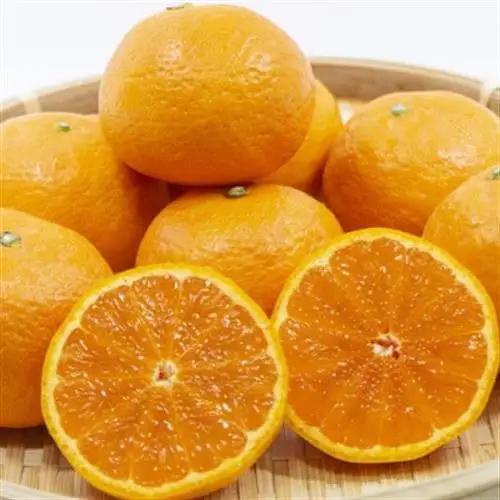 【春みかん】和歌山有田産カラマンダリン約5kg(サイズおまかせ)【日高町】【1617392】