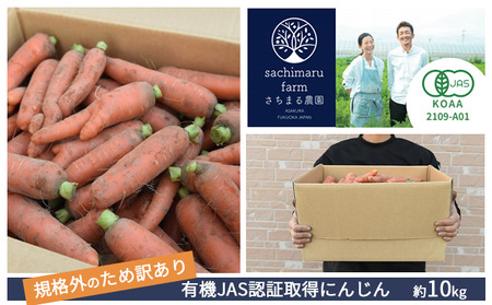 【訳あり】 規格外 にんじん 約10kg 有機JAS認証取得 規格外
