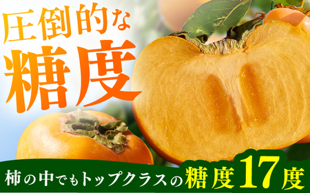 【★先行予約★　2025年10月下旬より発送】柿（秋王） 約3.5kg 広川町 / JAふくおか八女農産物直売所どろや[AFAB074]