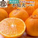 【ふるさと納税】＜4月より発送＞家庭用 不知火5kg+150g（傷み補償分）【デコポンと同品種・人気の春みかん】【光センサー食頃出荷】【わけあり・訳あり】【IKE53】 | 不知火 フルーツ 果物 くだもの 食品 人気 おすすめ 送料無料