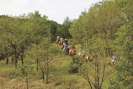 鶴居どさんこ牧場ホーストレッキング　半日コース(1名様)