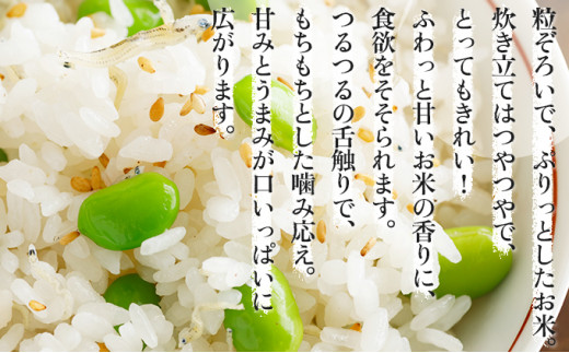 『100%自家生産精米』善生さんの自慢の米 ゆめぴりか5kg※一括発送【06123】[a104-101] 精米　ゆめぴりか5kg