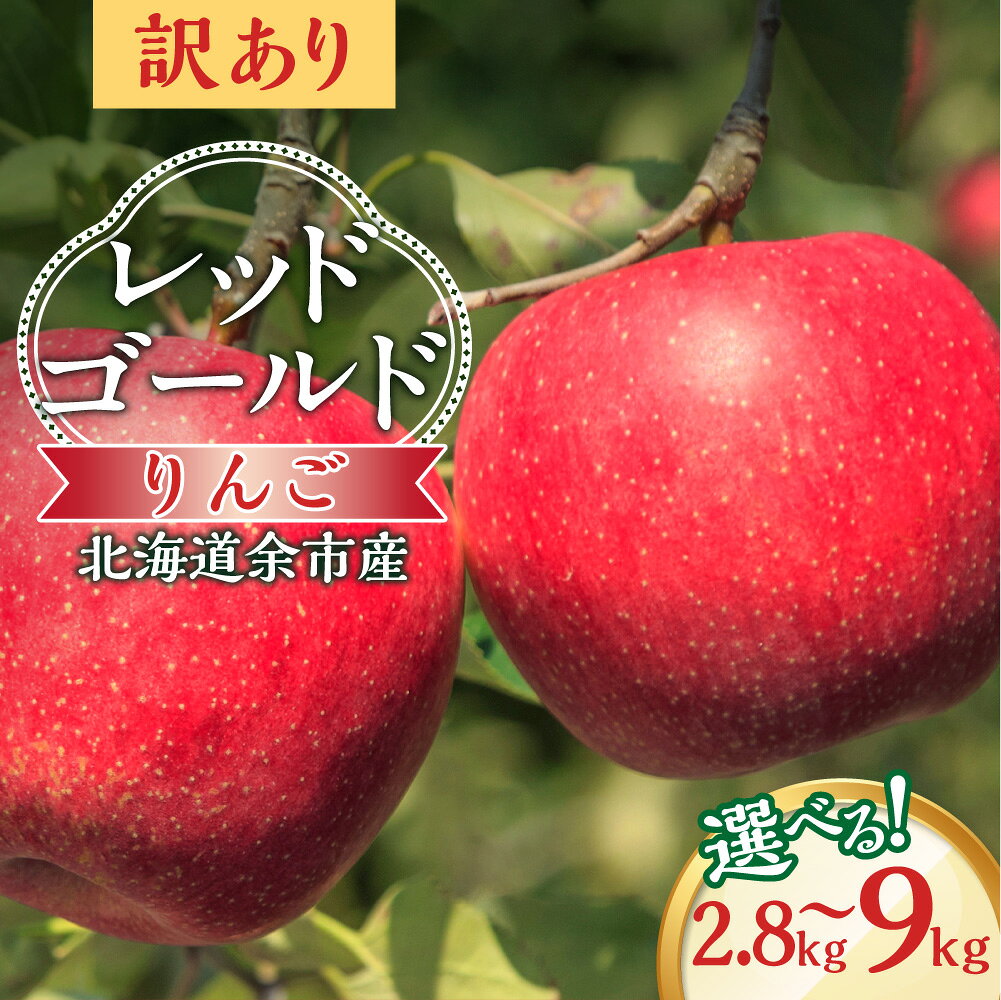 【ふるさと納税】【先行予約2026年10月中旬より発送】 ＼ 内容量が選べる ／ 訳アリ りんご（レッドゴールド）2.8kg 5kg 9kg 【北海道余市町産】 北海道産 りんご予約 酸味少ない 甘口りんご みずみずしい ジューシー 果肉やわらか 秋の味覚 北海道 余市町 送料無料