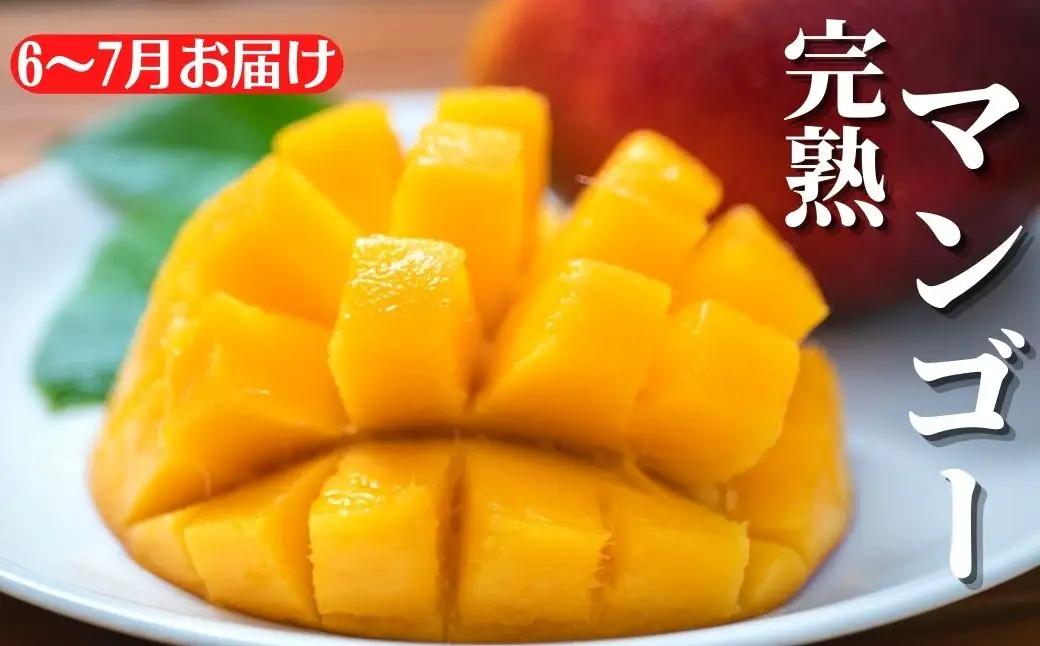 安芸市フルーツ定期便 4回【フルーツ定期便】
