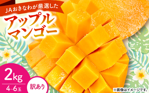 【2027年6月から順次発送・訳あり】アップルマンゴー2.0kg(4～6玉)【1768530】