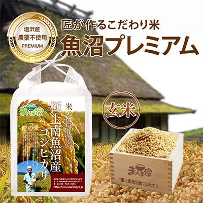 ふるさと納税 南魚沼市 【毎月定期便】特別栽培米「南魚沼産コシヒカリ」(栽培期間中農薬・化学肥料不使用)玄米5kg全12回