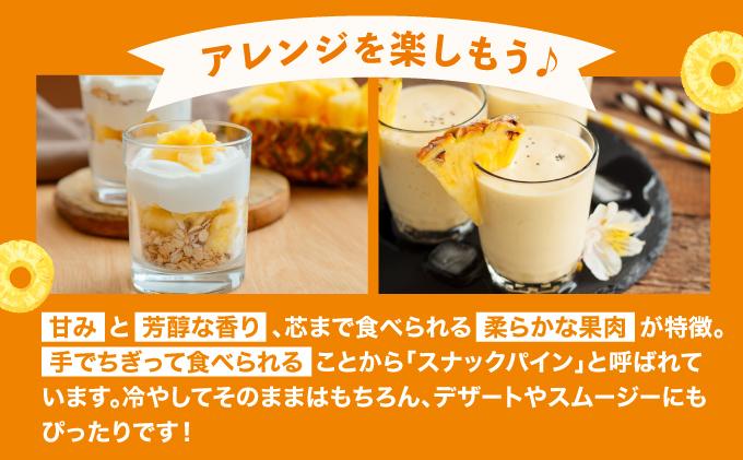 【2026年4月中旬発送】訳あり 石垣島産 スナックパイン 約4kg（4～10個）KP-01 | ふるさと納税 パイナップル 産地直送 フルーツ 果物 パイン 石垣 沖縄 沖縄県石垣市 石垣島