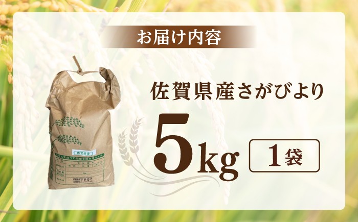 米 5kg お米 おこめ ふるさと納税 さがびより 佐賀県産 精米したて 白米