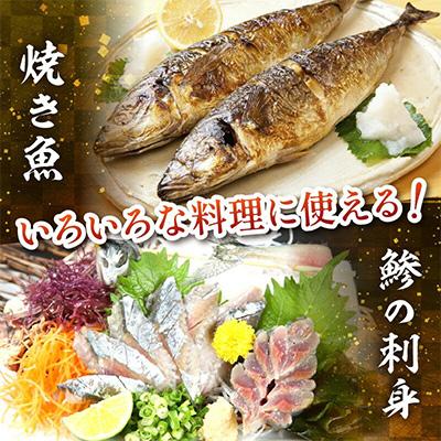 ふるさと納税 御坊市 御坊産　鮮魚セット　約5kg |  | 01
